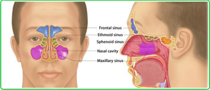 sinusitis nasal drops